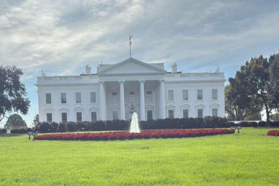 WASHINGTON D. C.